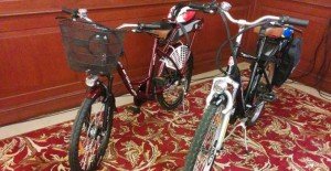 Hero Electric launches e-cycles