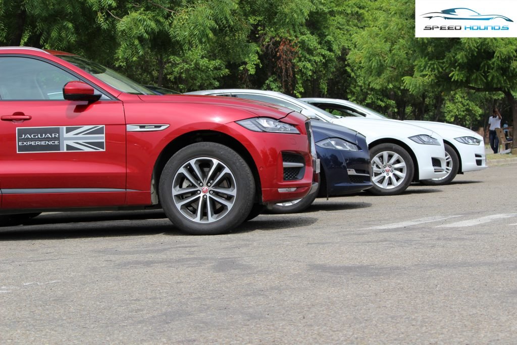 Jaguar Art of Performance