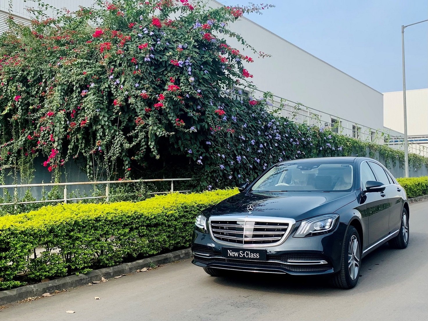 Mercedes-Benz India S-Class Maestro Edition